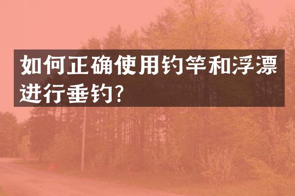 如何正确使用钓竿和浮漂进行垂钓？