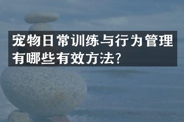 宠物日常训练与行为管理有哪些有效方法？