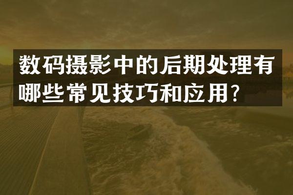 数码摄影中的后期处理有哪些常见技巧和应用？