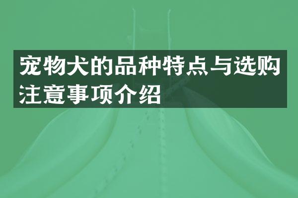 宠物犬的品种特点与选购注意事项介绍