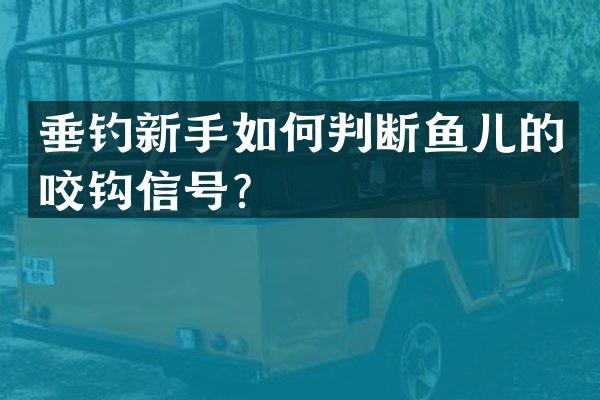 垂钓新手如何判断鱼儿的咬钩信号？