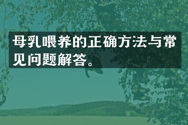 母乳喂养的正确方法与常见问题解答。