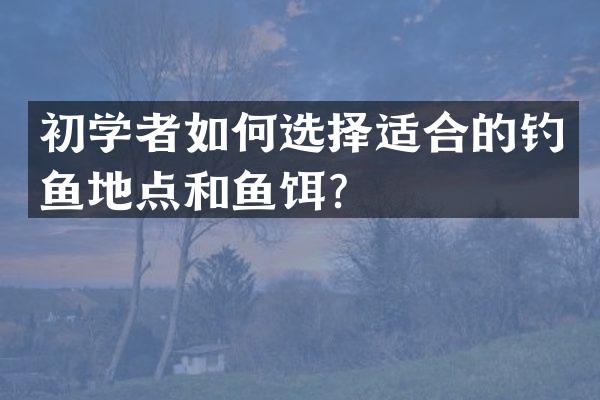 初学者如何选择适合的钓鱼地点和鱼饵？