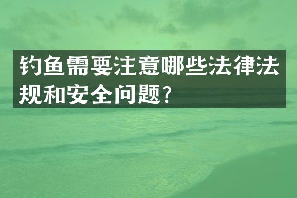 钓鱼需要注意哪些法律法规和安全问题？