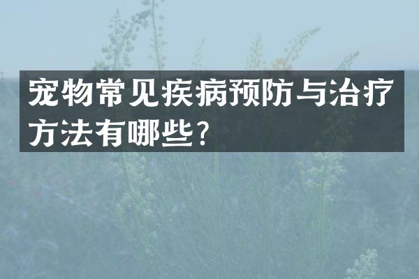 宠物常见疾病预防与治疗方法有哪些？