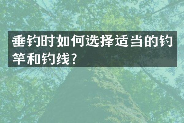 垂钓时如何选择适当的钓竿和钓线？