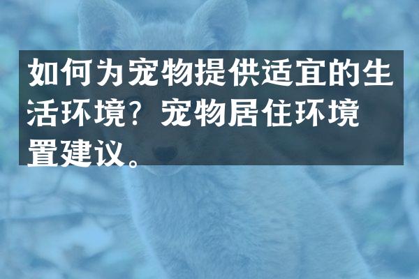 如何为宠物提供适宜的生活环境？宠物居住环境布置建议。