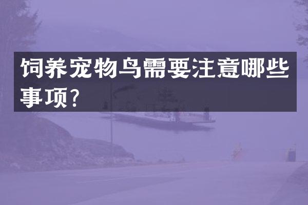 饲养宠物鸟需要注意哪些事项？