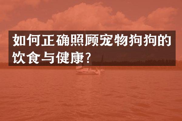 如何正确照顾宠物狗狗的饮食与健康？
