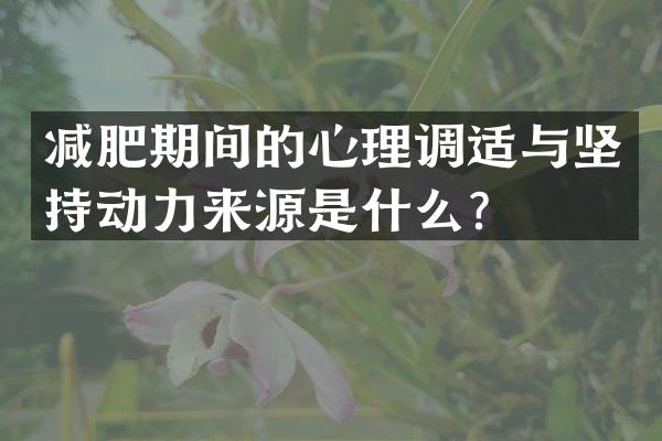 减肥期间的心理调适与坚持动力来源是什么？