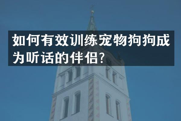 如何有效训练宠物狗狗成为听话的伴侣？