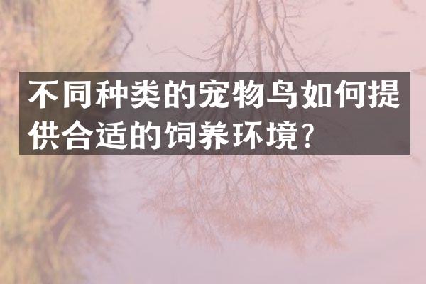 不同种类的宠物鸟如何提供合适的饲养环境？