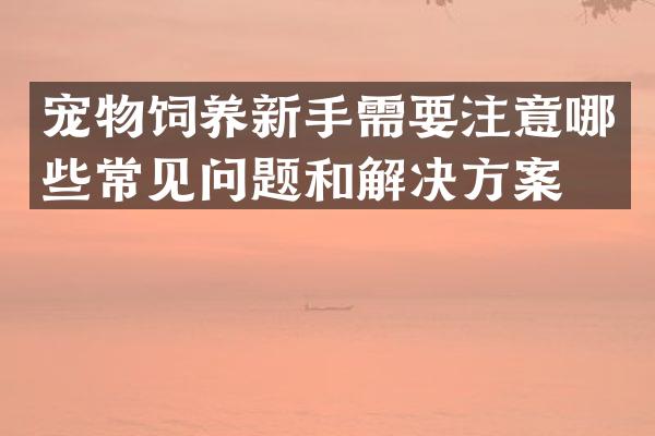 宠物饲养新手需要注意哪些常见问题和解决方案？
