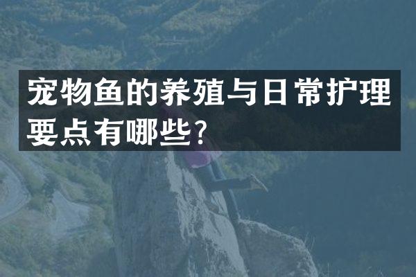 宠物鱼的养殖与日常护理要点有哪些？