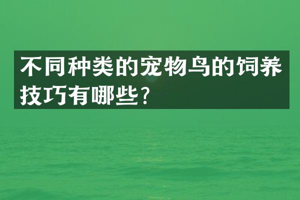 不同种类的宠物鸟的饲养技巧有哪些？