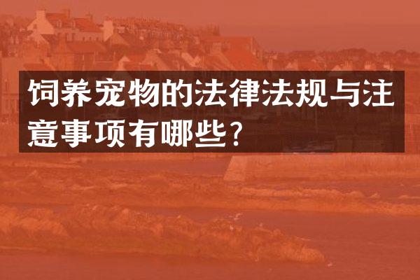 饲养宠物的法律法规与注意事项有哪些？