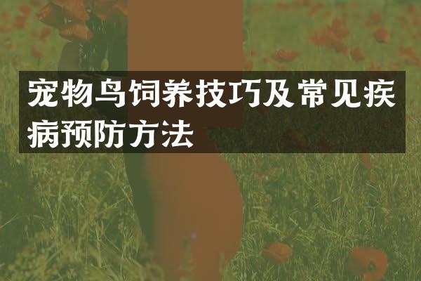 宠物鸟饲养技巧及常见疾病预防方法