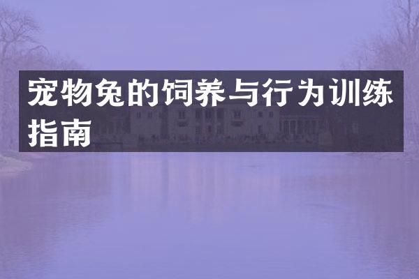 宠物兔的饲养与行为训练指南