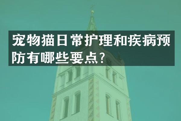宠物猫日常护理和疾病预防有哪些要点？