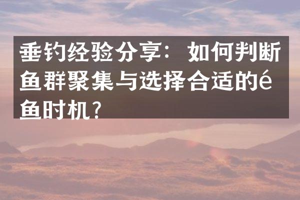 垂钓经验分享：如何判断鱼群聚集与选择合适的钓鱼时机？