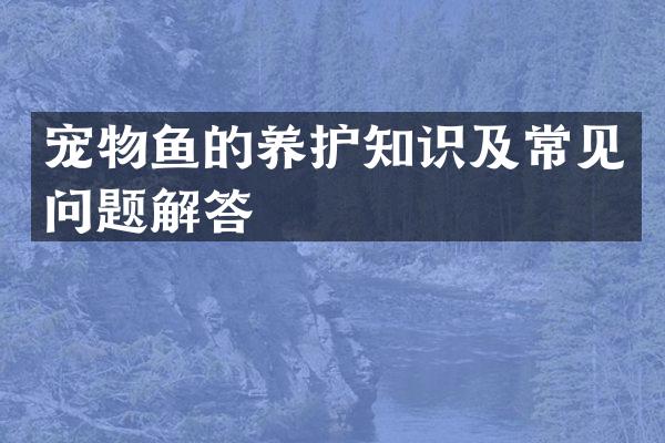 宠物鱼的养护知识及常见问题解答