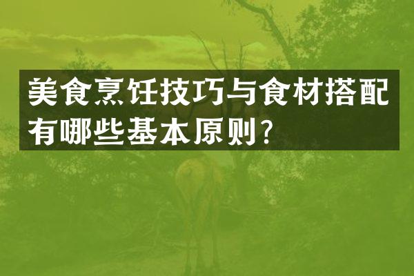 美食烹饪技巧与食材搭配有哪些基本原则？