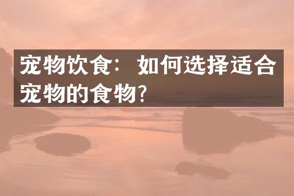 宠物饮食：如何选择适合宠物的食物？