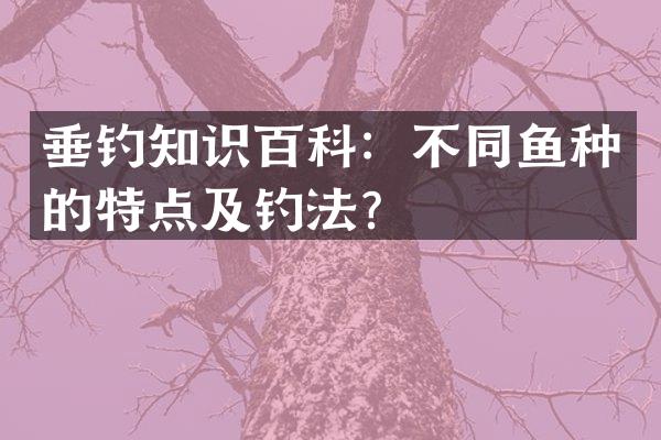 垂钓知识百科：不同鱼种的特点及钓法？
