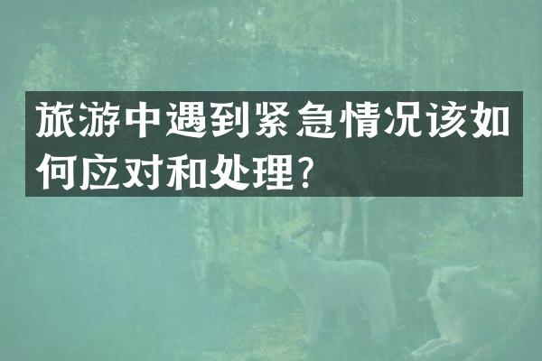 旅游中遇到紧急情况该如何应对和处理？