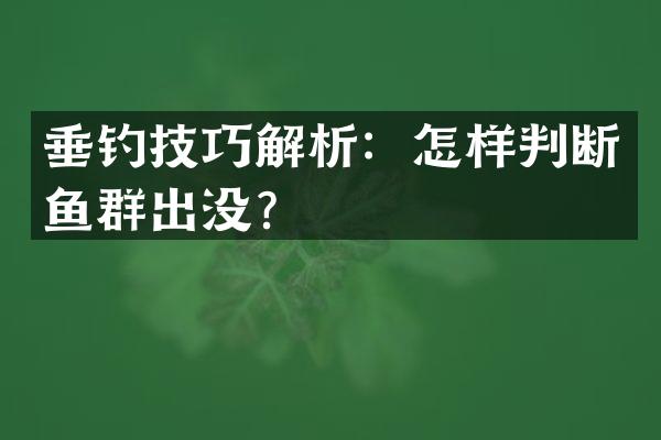 垂钓技巧解析：怎样判断鱼群出没？