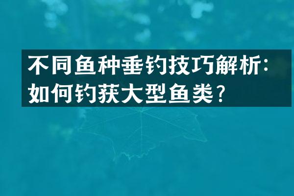 不同鱼种垂钓技巧解析：如何钓获大型鱼类？