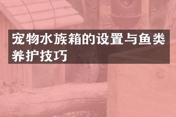 宠物水族箱的设置与鱼类养护技巧