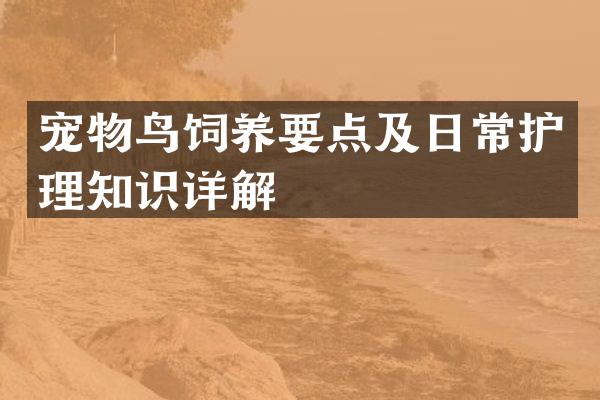 宠物鸟饲养要点及日常护理知识详解