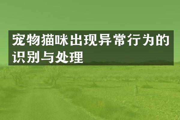 宠物猫咪出现异常行为的识别与处理
