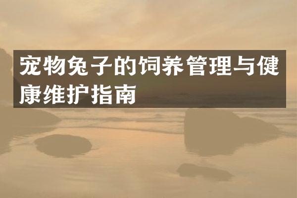 宠物兔子的饲养管理与健康维护指南