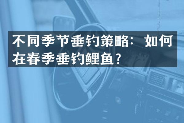 不同季节垂钓策略：如何在春季垂钓鲤鱼？