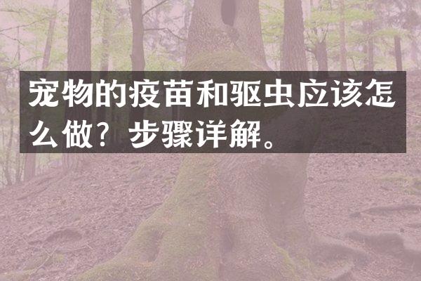 宠物的疫苗和驱虫应该怎么做？步骤详解。
