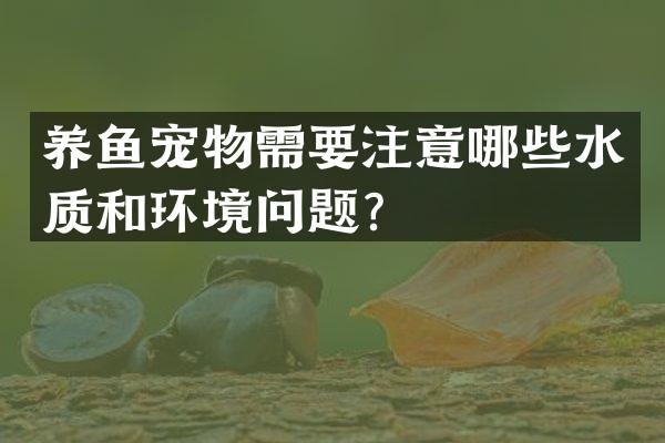 养鱼宠物需要注意哪些水质和环境问题？