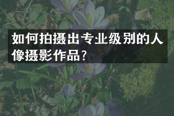如何拍摄出专业级别的人像摄影作品？