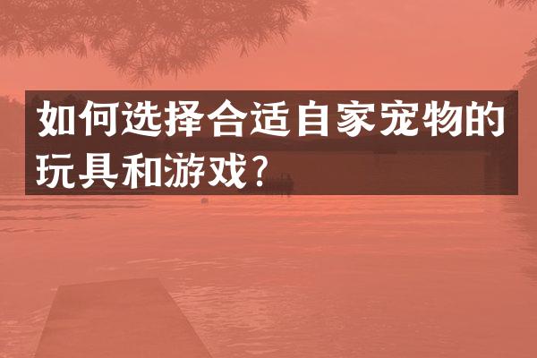 如何选择合适自家宠物的玩具和游戏？