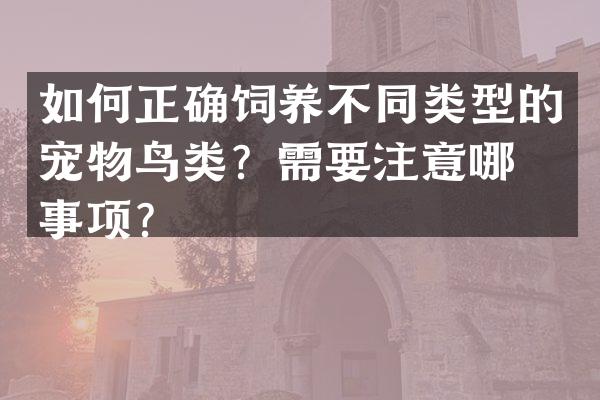 如何正确饲养不同类型的宠物鸟类？需要注意哪些事项？