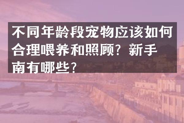 不同年龄段宠物应该如何合理喂养和照顾？新手指南有哪些？
