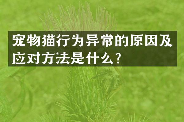 宠物猫行为异常的原因及应对方法是什么？