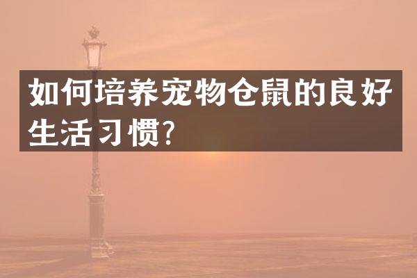 如何培养宠物仓鼠的良好生活习惯？