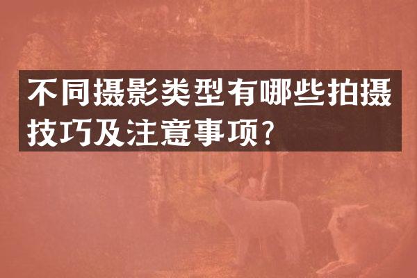 不同摄影类型有哪些拍摄技巧及注意事项？