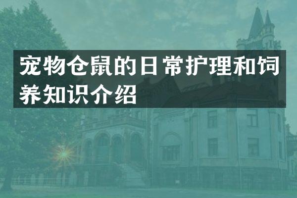 宠物仓鼠的日常护理和饲养知识介绍
