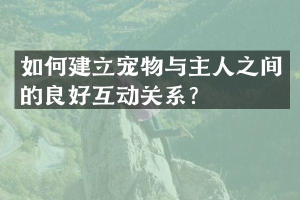 如何建立宠物与主人之间的良好互动关系？