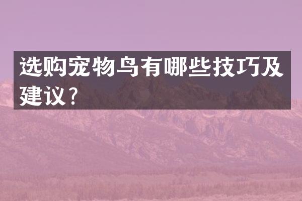 选购宠物鸟有哪些技巧及建议？