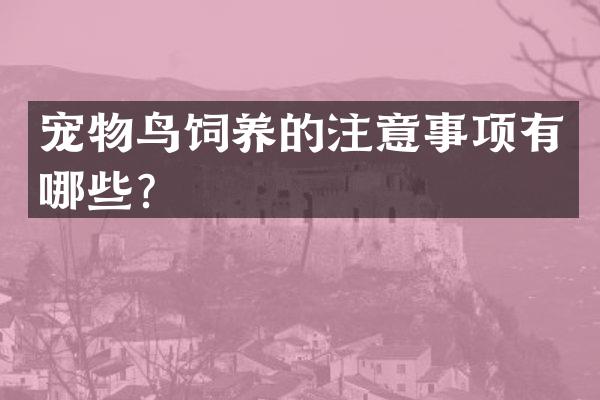 宠物鸟饲养的注意事项有哪些？
