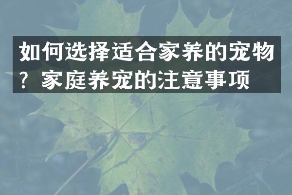 如何选择适合家养的宠物？家庭养宠的注意事项。